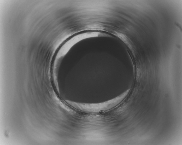 X0000102531331200808291811