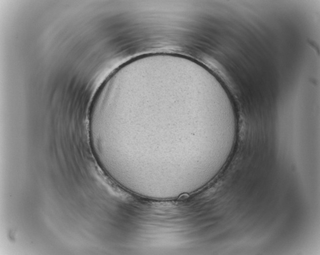 X0000102531332200808291811