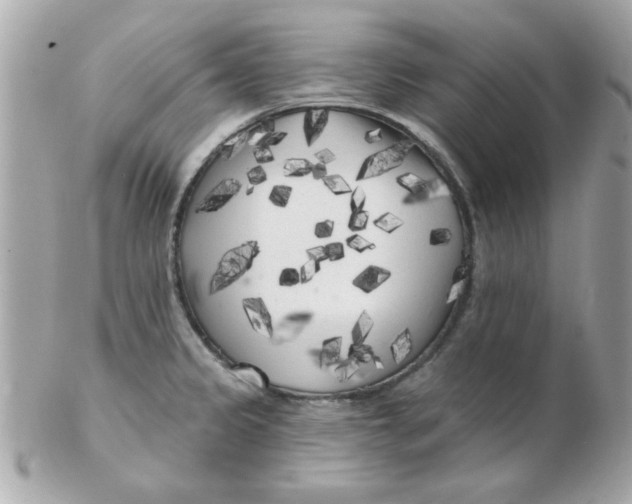 X0000102531333200808291811