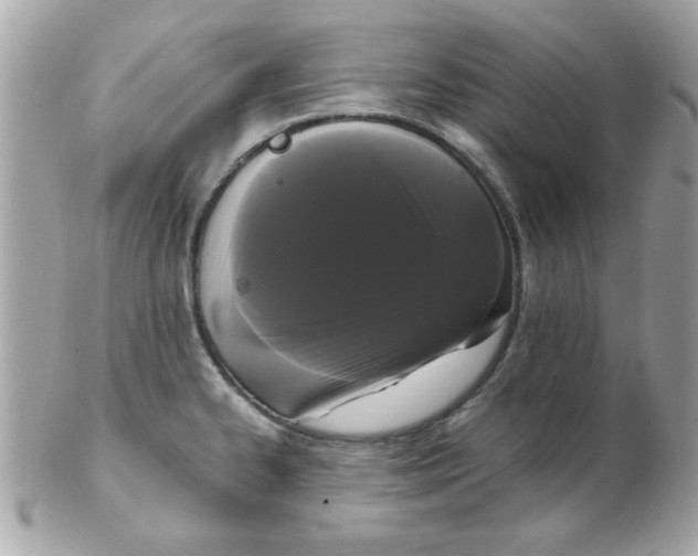 X0000102531334200808291811