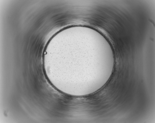 X0000102531335200808291811