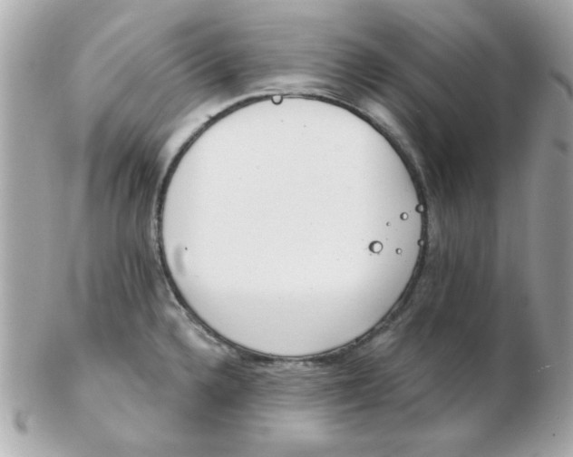 X0000102531336200808291811