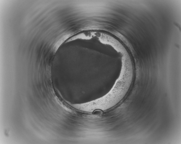 X0000102531337200808291811