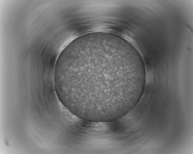 X0000102531338200808291811