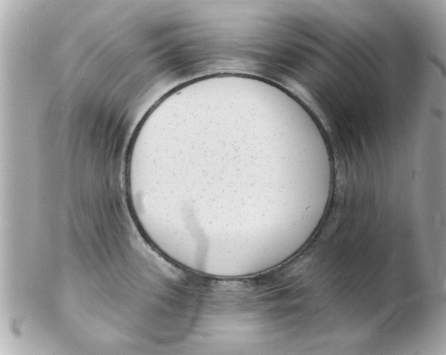 X0000102531339200808291811