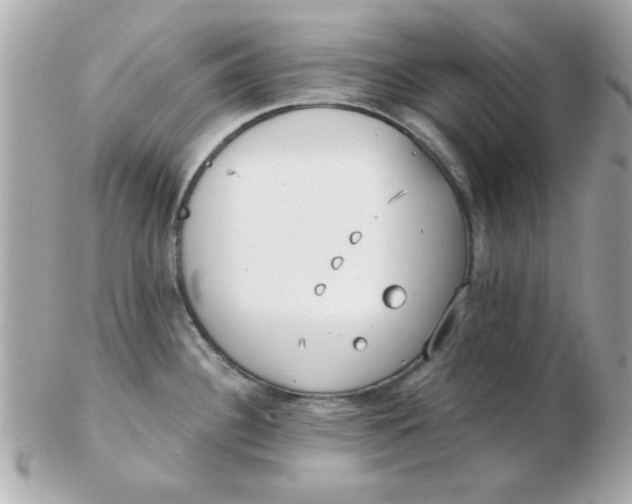 X0000102531340200808291811