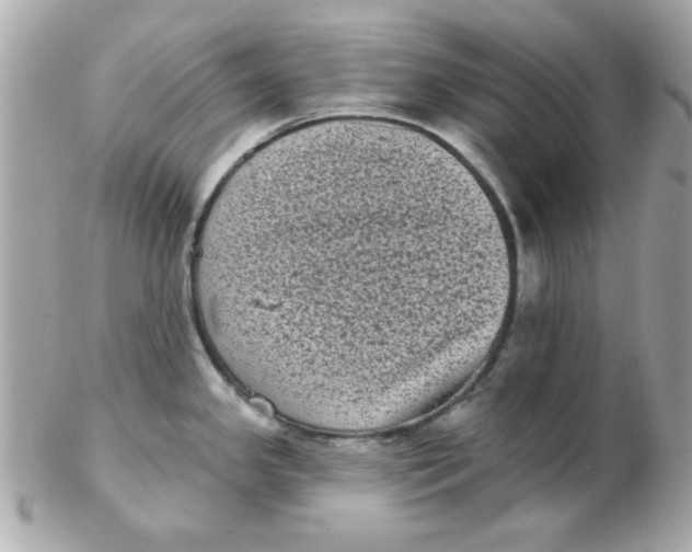 X0000102531341200808291811