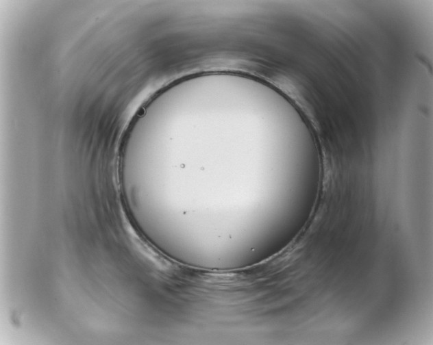 X0000102531342200808291811