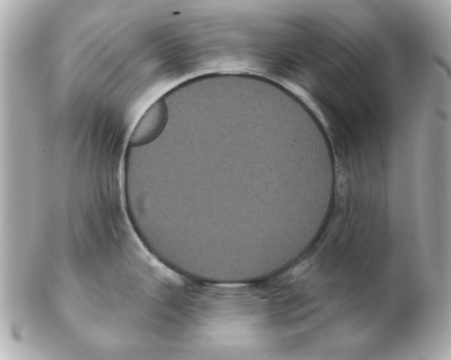 X0000102531343200808291811