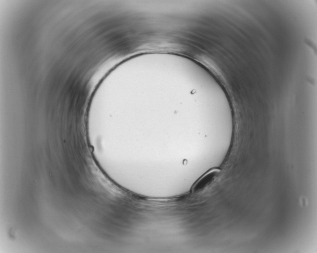 X0000102531344200808291812