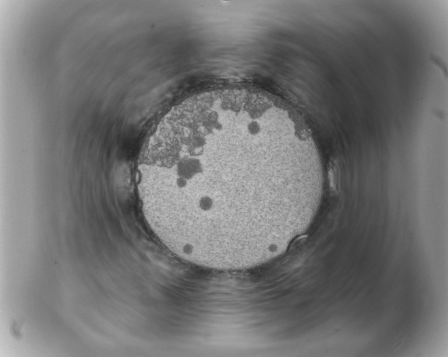 X0000102531347200808291811