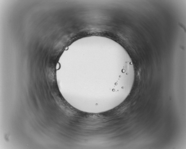 X0000102531348200808291811