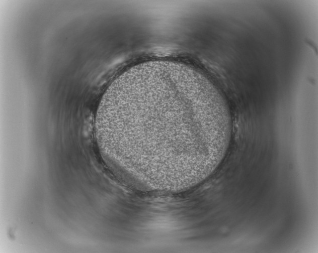 X0000102531349200808291811