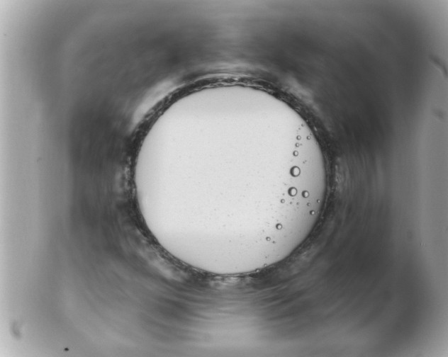 X0000102531352200808291811