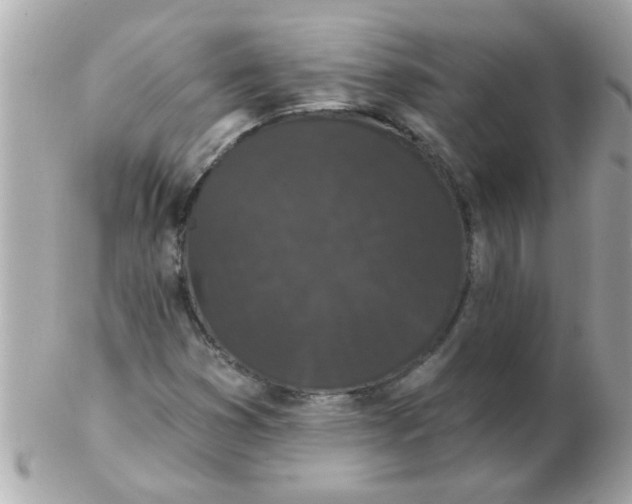 X0000102531353200808291811