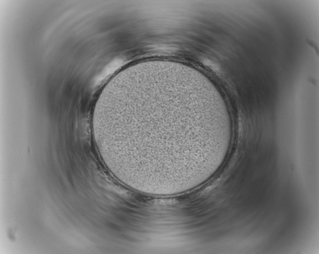 X0000102531354200808291811