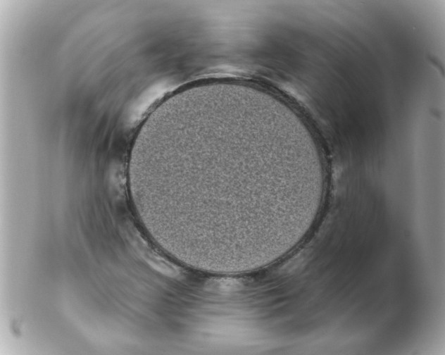 X0000102531355200808291811