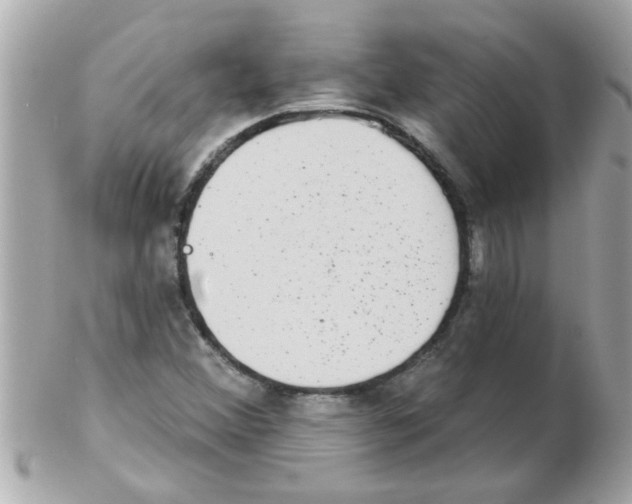 X0000102531356200808291811