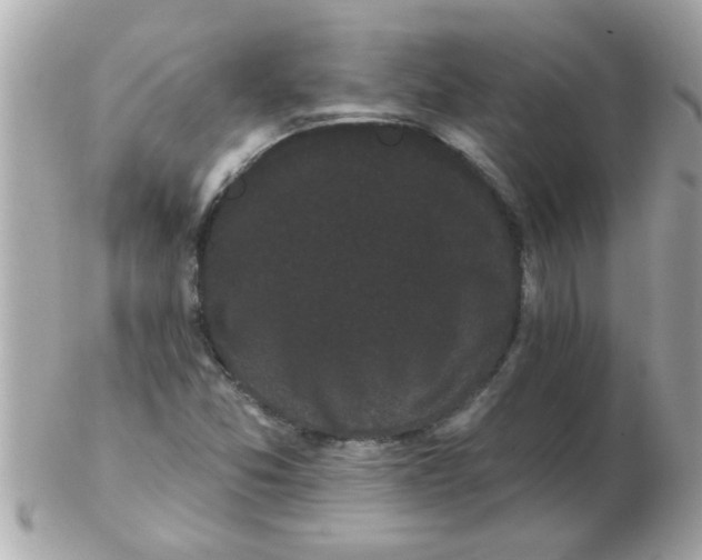 X0000102531357200808291811