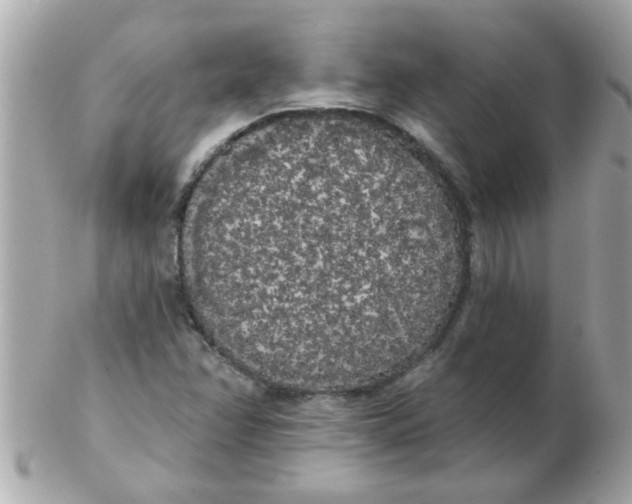 X0000102531358200808291811