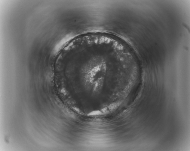 X0000102531359200808291811