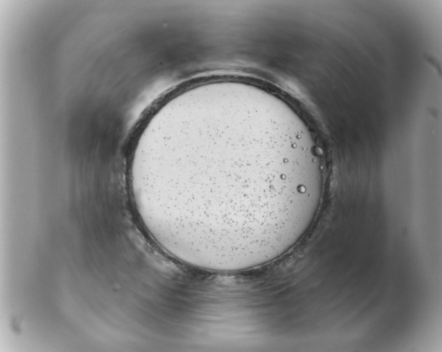 X0000102531360200808291811