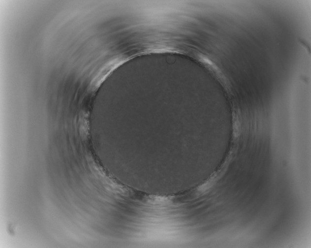 X0000102531361200808291811