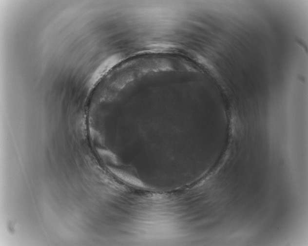 X0000102531362200808291811