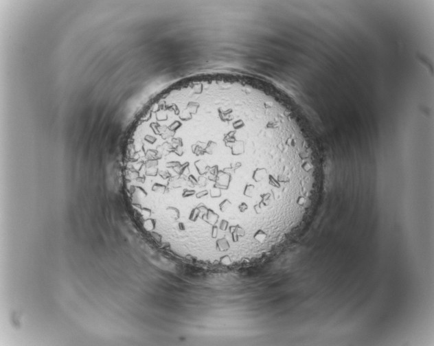 X0000102531363200808291811