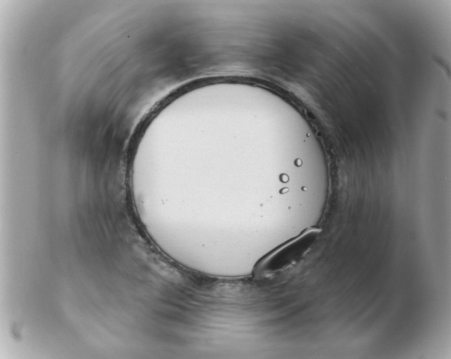 X0000102531364200808291811