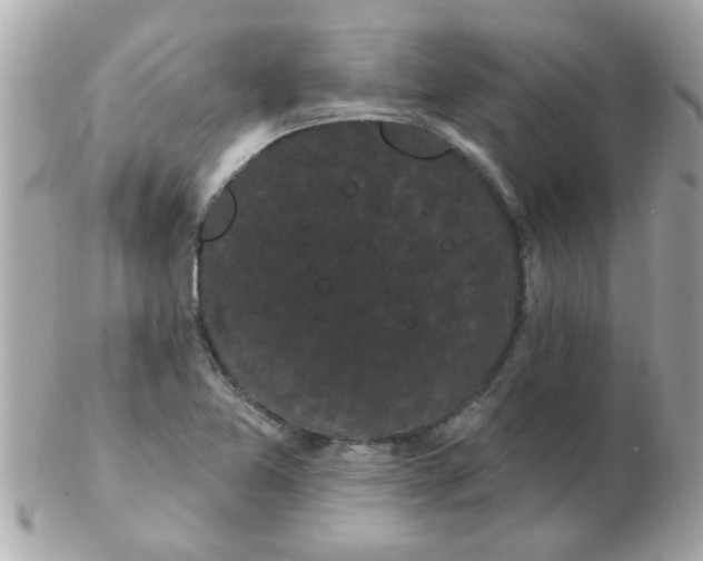 X0000102531365200808291811