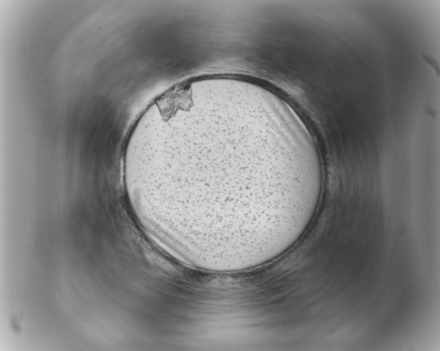 X0000102531366200808291811