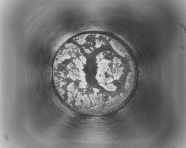 X0000102531367200808291811