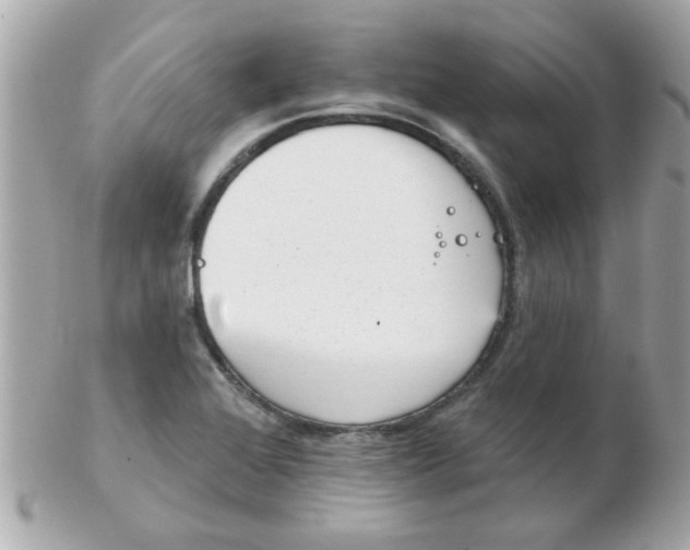 X0000102531368200808291811