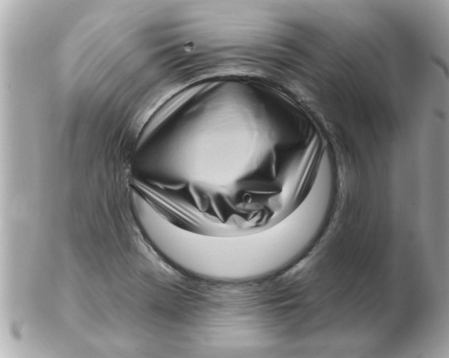 X0000102531369200808291811