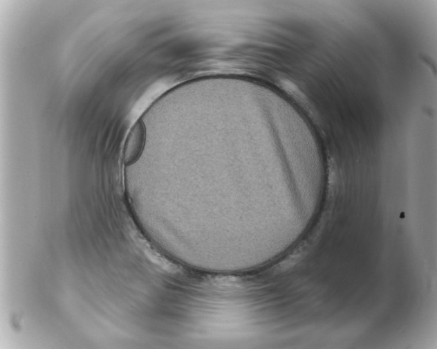 X0000102531370200808291810