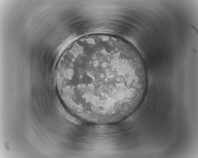 X0000102531371200808291810