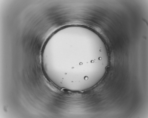 X0000102531372200808291810