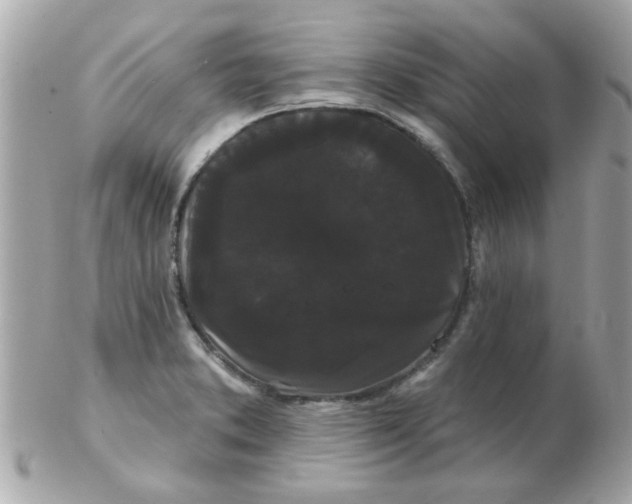 X0000102531373200808291810