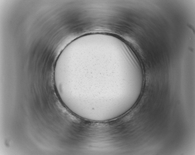 X0000102531374200808291810