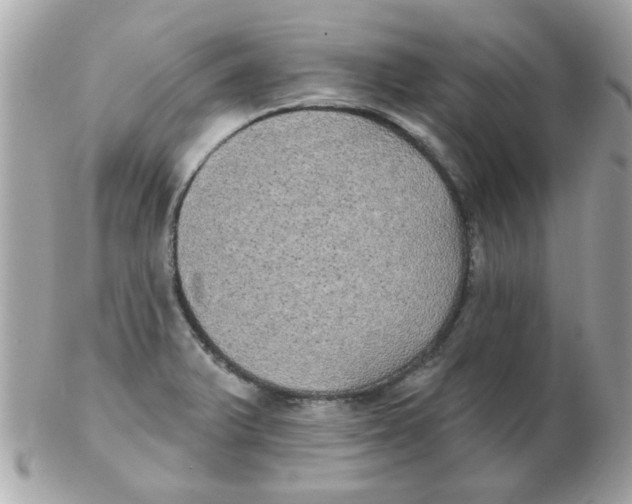 X0000102531375200808291810