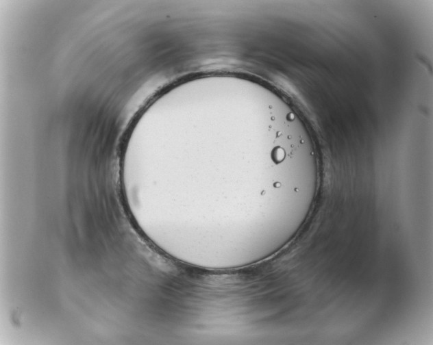 X0000102531376200808291810