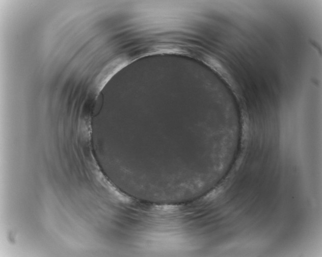 X0000102531377200808291810