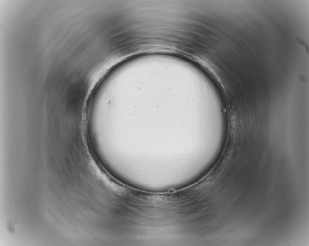 X0000102531379200808291810