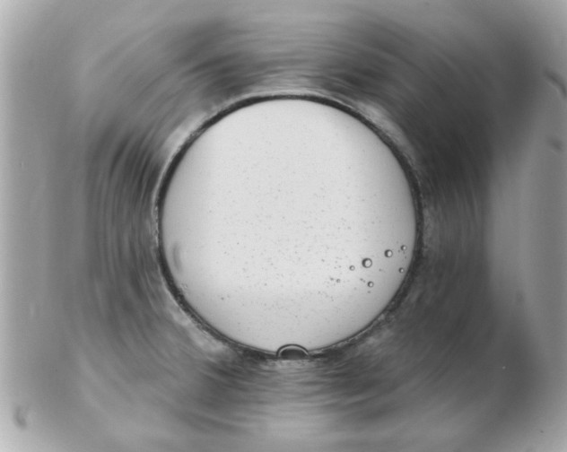 X0000102531380200808291810