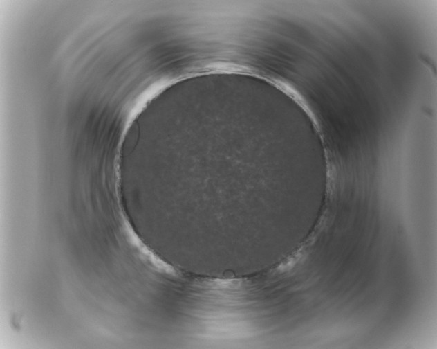 X0000102531381200808291810