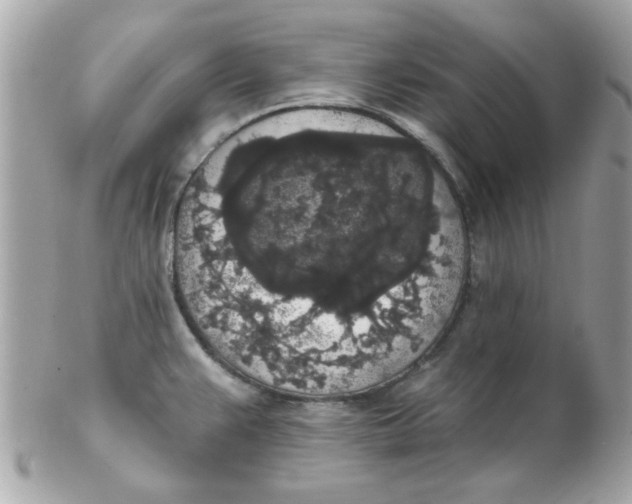 X0000102531383200808291810