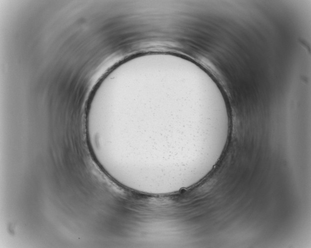 X0000102531384200808291810