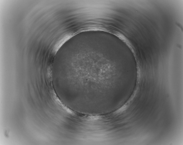 X0000102531385200808291810