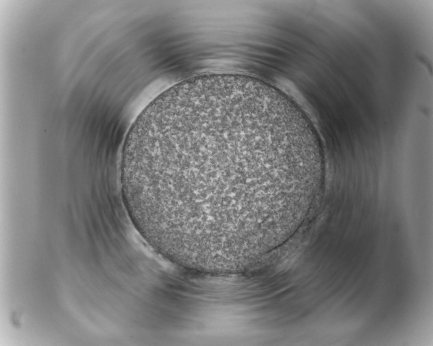 X0000102531386200808291810